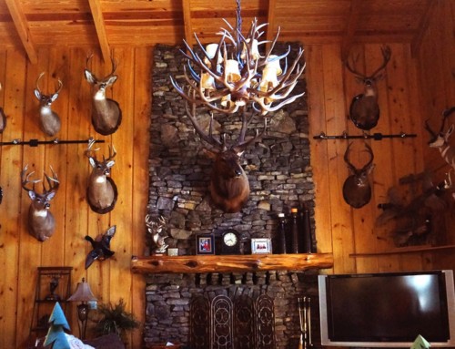 Florida Deer hunting lodge